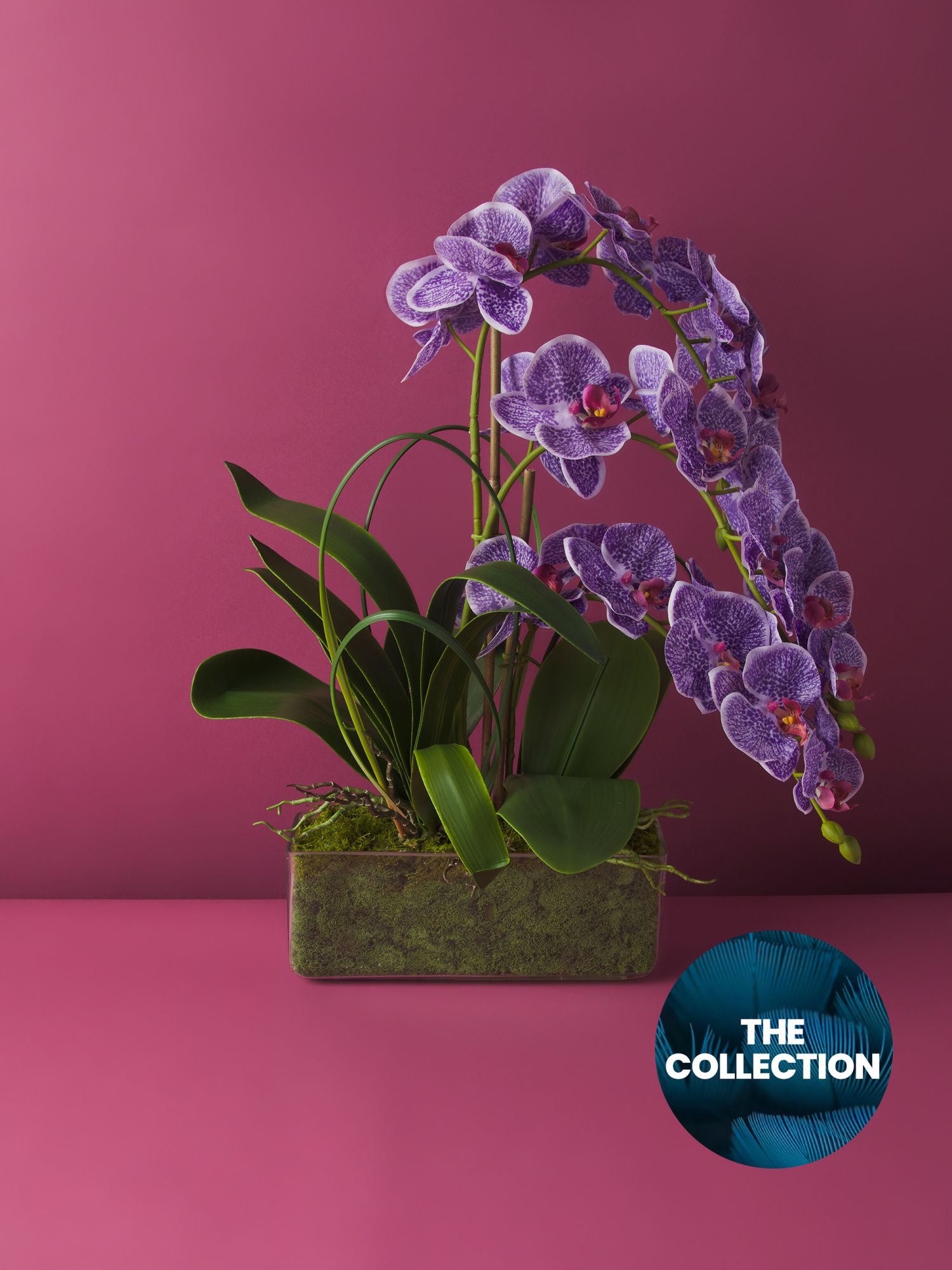 31in Artificial Orchid Arrangement In Glass Vase | Living Room | HomeGoods | HomeGoods