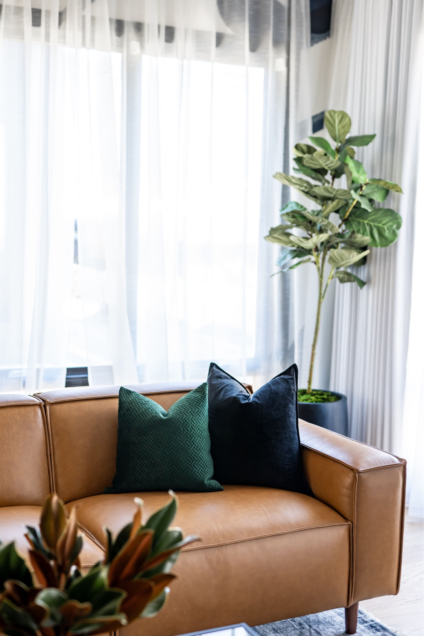 Leather sofa living room with plants

#LTKHome