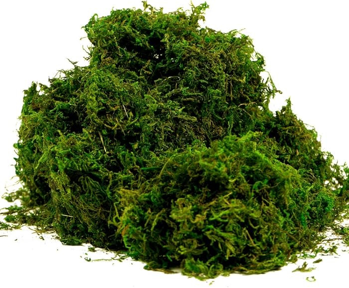 BYHER Artificial Moss Fake Green Grass for Centerpieces Home Kitchen Garden Decor (8OZ, Fresh) | Amazon (US)
