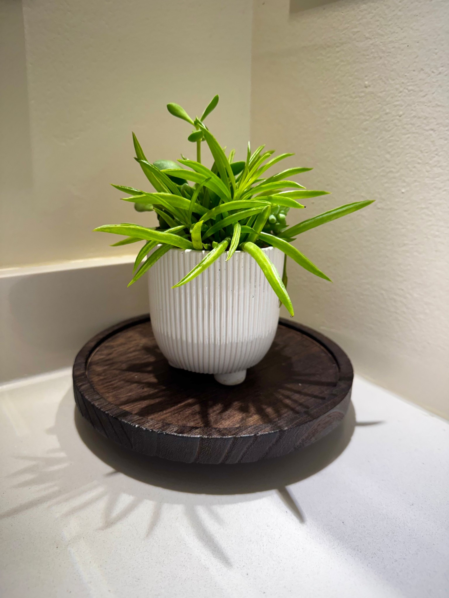 Wooden tray for bathroom  

#LTKHome #LTKdayinmylife