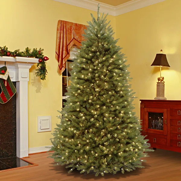 Alyce 9' Regular (Full) Green Artificial Christmas Tree with 1000 Clear/White Lights | Wayfair North America