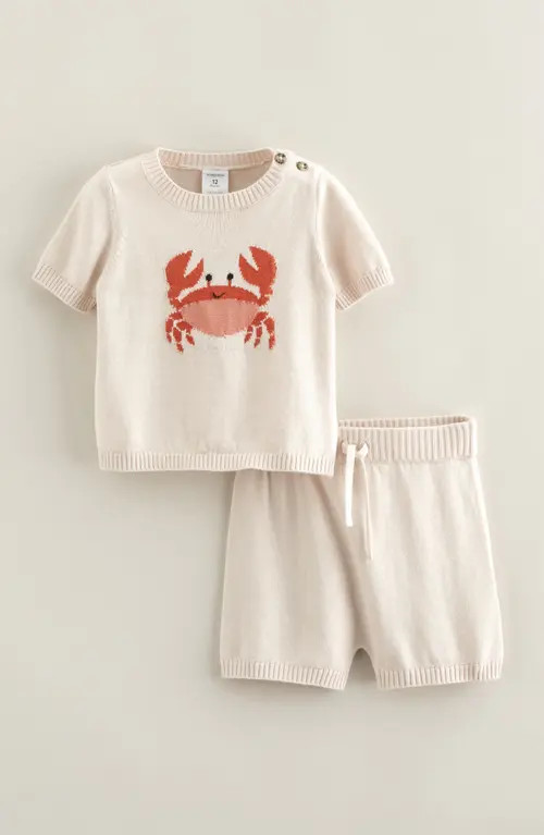 Nordstrom Motif Short Sleeve Cotton Blend Sweater & Shorts Set in Ivory Sand Crab Critter at Nordstrom, Size 12M | Nordstrom