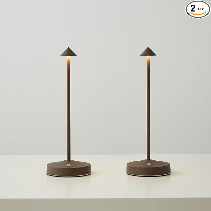 2 PACK Cordless Lamps,Battery Rechargeable Table Lamp,Portable Lamps,2 Level Brightness Dimmable ... | Amazon (US)