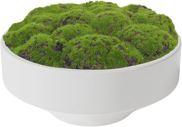 NAHARO New Moss Bowl, Handmade Ceramic Bowl. 11" Artificial Moss Centerpiece for Home Decoration,... | Amazon (US)