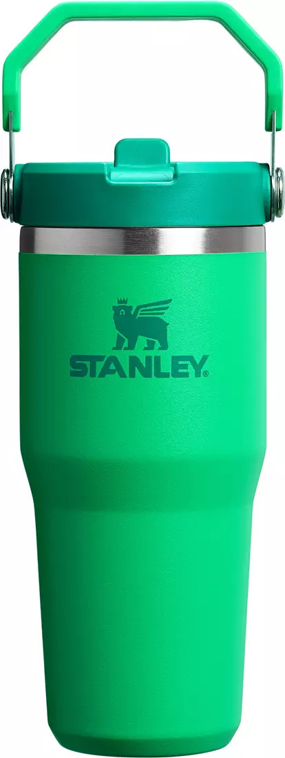 Stanley 14 oz. IceFlow 2.0 Flip Straw Tumbler | DICK'S Sporting Goods