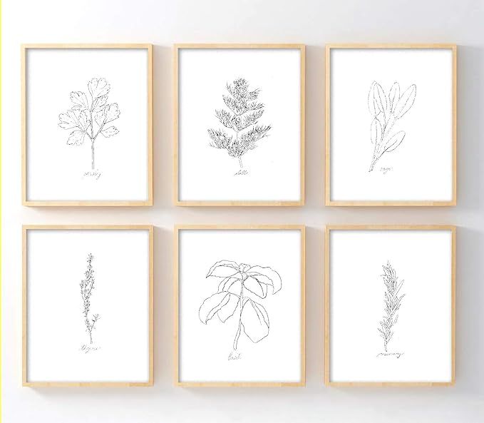 Ink Inc. Herbs Botanical Prints Line Drawings Minimaist Modern Kitchen Decor Black and White Home... | Amazon (US)