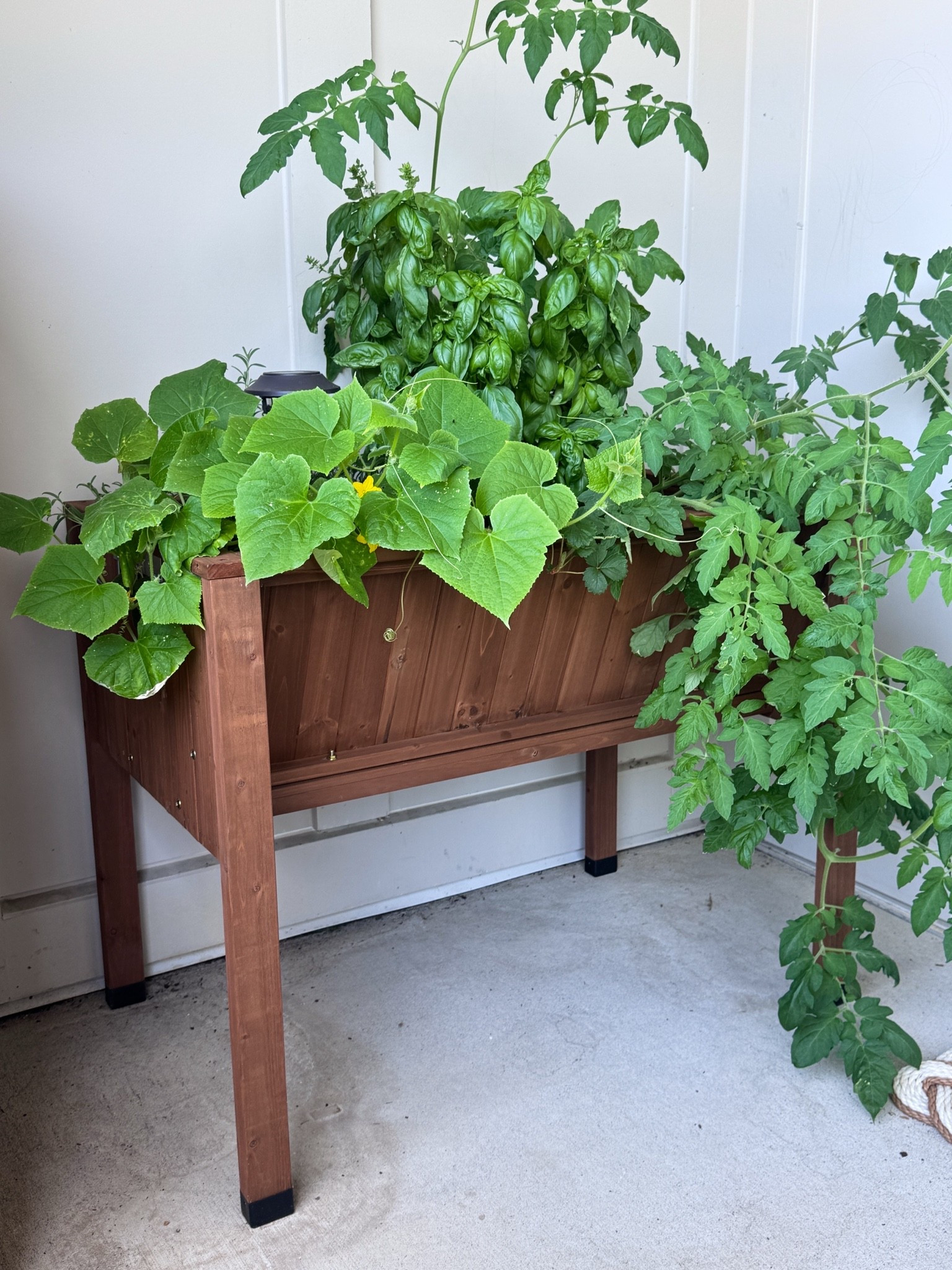 How cute is this garden box? It’s the perfect size for smaller spaces and it’s adjustable you can make it larger

#LTKdayinmylife #LTKHome #LTKSeasonal