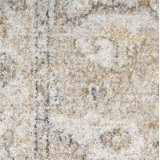 Nourison Astra Machine Washable Persian Beige 7'10" x 10' Area Rug (8x10) | Walmart (US)