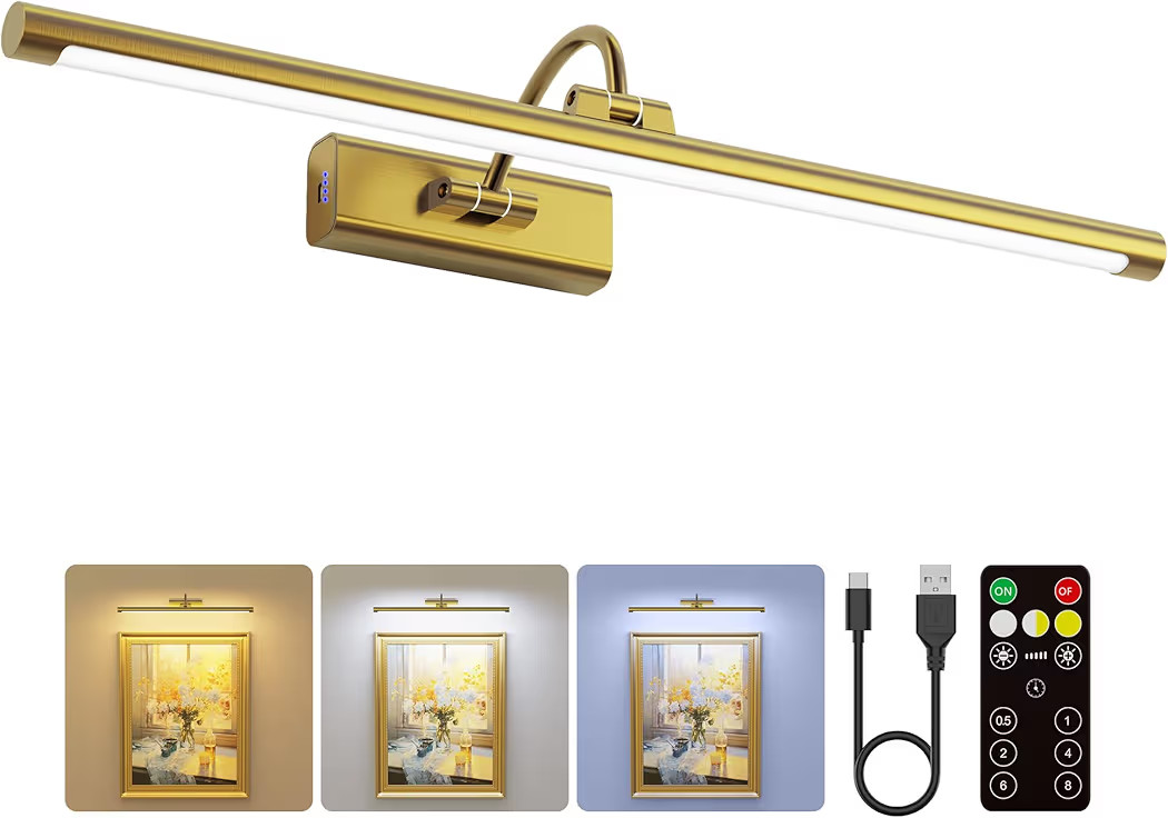 24" Picture Lights for Wall with 8000mAh Battery - Brass Operated Wireless Wall Art Light with Re... | Amazon (US)