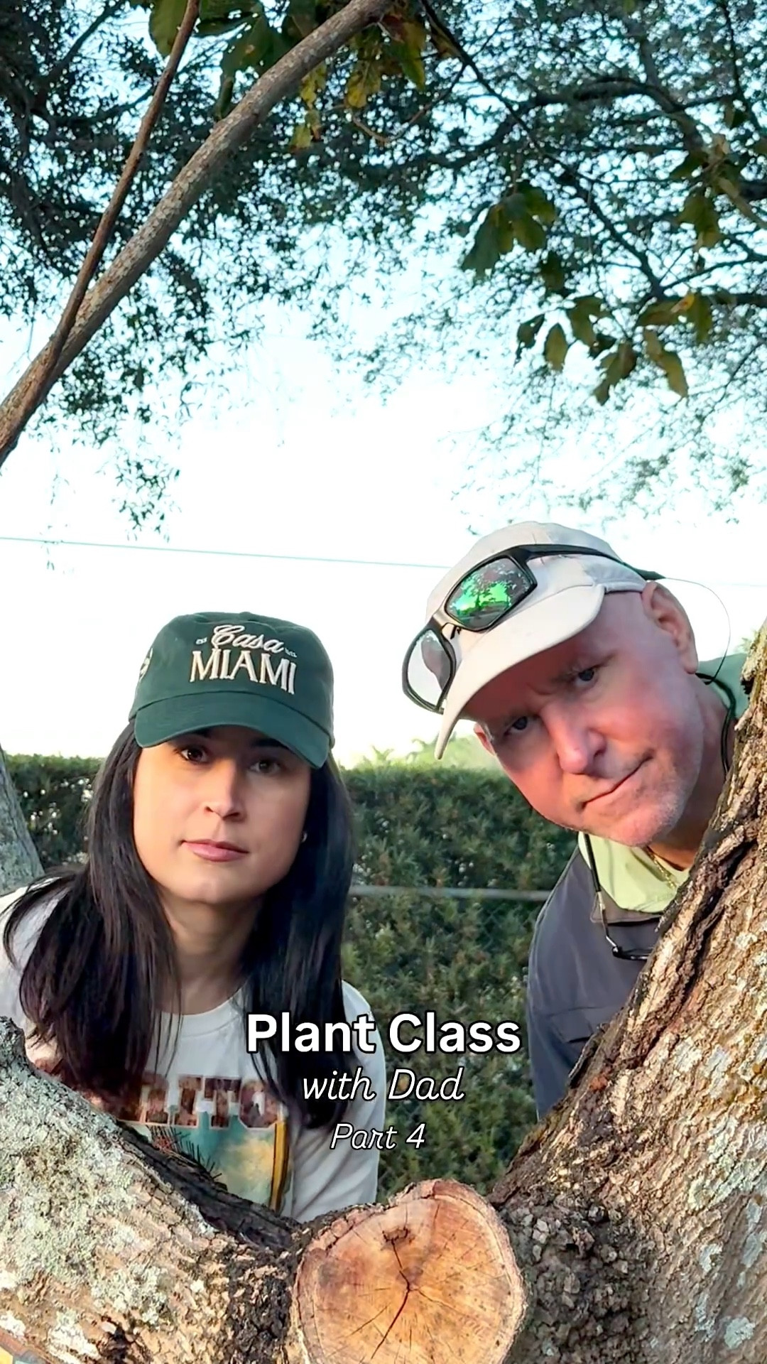 Plant Class with Dad 🪴 (Part 4)

Time to check on our repotted plants and see how @Sol Soils products treated them 🌱 

In just 2 weeks, both the Thai Basil and Bonsai tree we repotted are firmly rooted in their @Sol Soils houseplant mix, with the basil even starting to flower! 

They’d been kept outside for that time and it was extremely cold in South Florida (getting into th 30s and 40s some nights) but you would never know it by how happy these plants look!

Come back next week for Part 5 where we repotted and other Thai Basil plant using @Sol Soils LECA balls and chunky perlite to amend soil we already had! 

In the coming weeks, we’ll give you a mini science lesson about the soil amendments we used and how they work and we’ll talk about mango and avocado season which are sneaking up on us soon! 

We’ll also be filming an orchid repot this month (that’ll probably go live sometime in early April) and we’ve got an Earth Day special dropping April 22nd where we’ll check on all the repotted plants (it’ll be several months in their new soil by then) & more!

All of the products we’ve used from @Sol Soils linked in this post. Save for your spring time planting prep 🌱 

Follow for more like this & find our prior episodes in my Home collection 🪴 

spring reset • garden reset • gardening • 

#LTKHome #LTKstorytime #LTKvlog