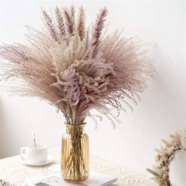 Delarsy Pampas Grass 60 cm Natural Dried Flower Decorative Dried Flowers Artificia  2pcs | Walmart (US)