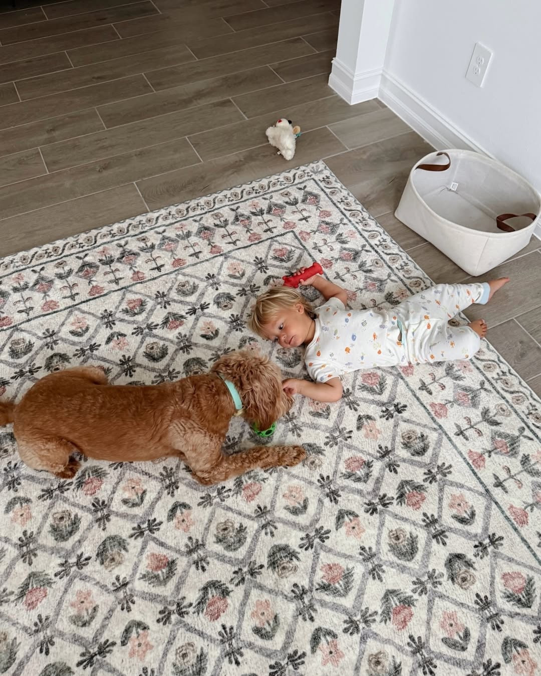 My rug is currently 25% off!

#LTKHome #LTKSaleAlert #LTKSeasonal