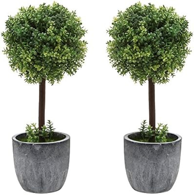Set of 2 Small Realistic Artificial Boxwood Topiary Trees / Faux Tabletop Plants w/ Gray Ceramic ... | Amazon (US)