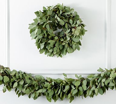 Fresh Silver Dollar Eucalyptus Wreath & Garland | Pottery Barn (US)