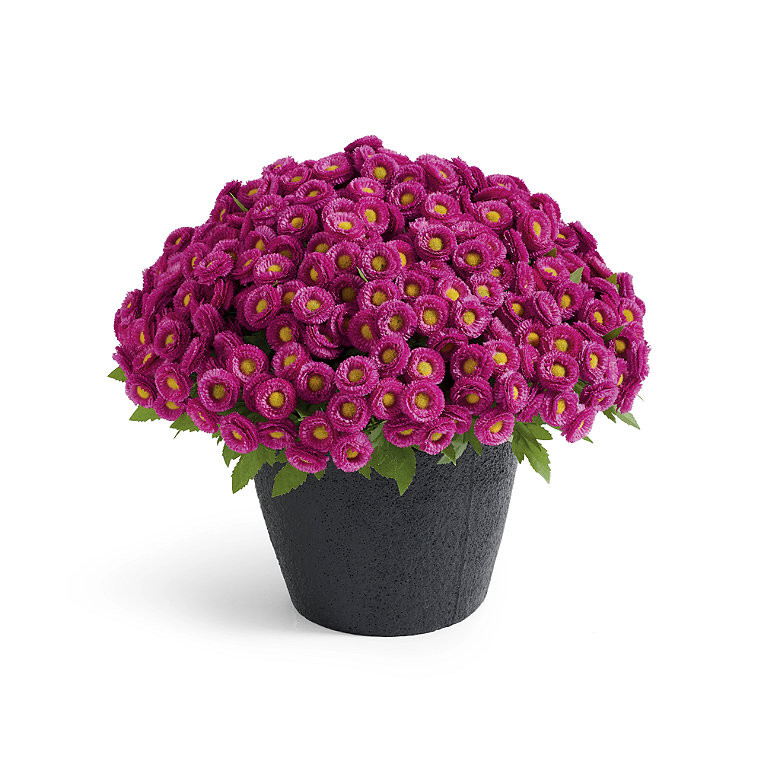 Mum Urn Filler | Grandin Road | Grandin Road