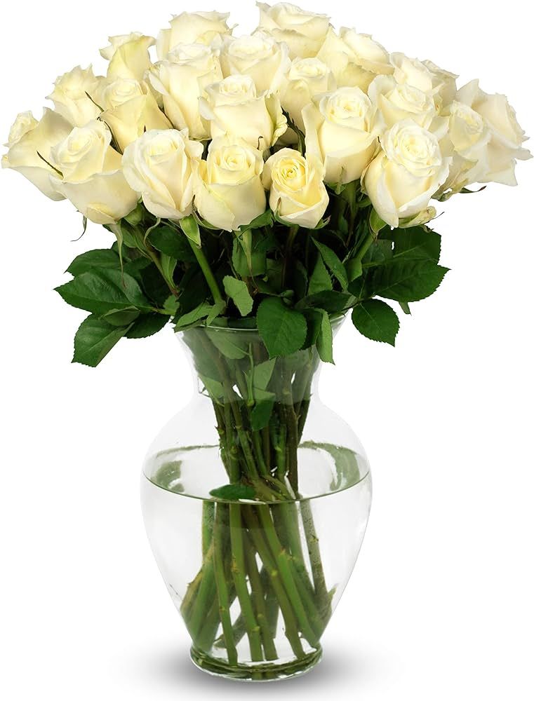 Benchmark Bouquets 24 Stem White Roses, Prime Delivery, Vase Included, Grower Direct Fresh Cut Fl... | Amazon (US)