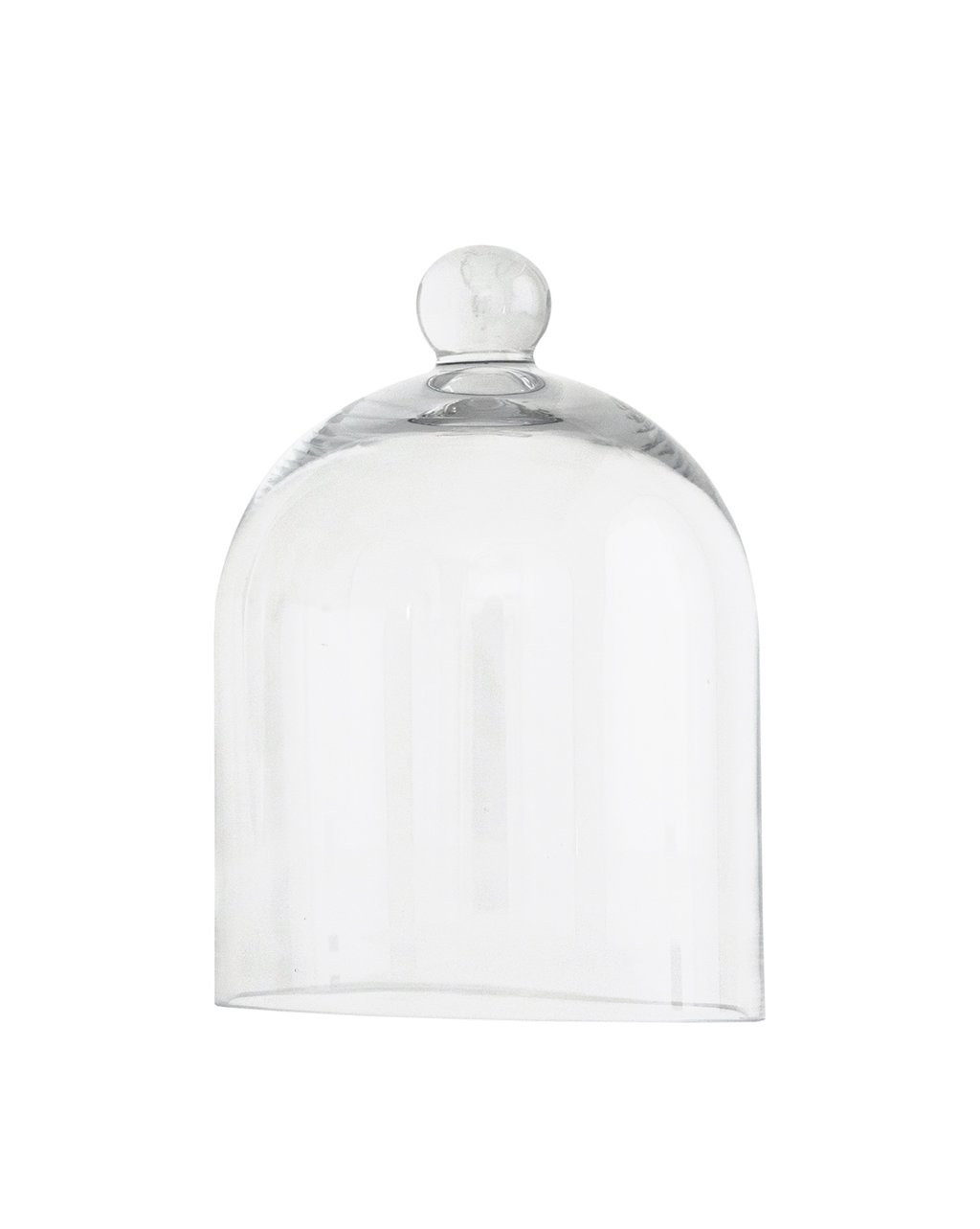 Glass Cloche | McGee & Co.