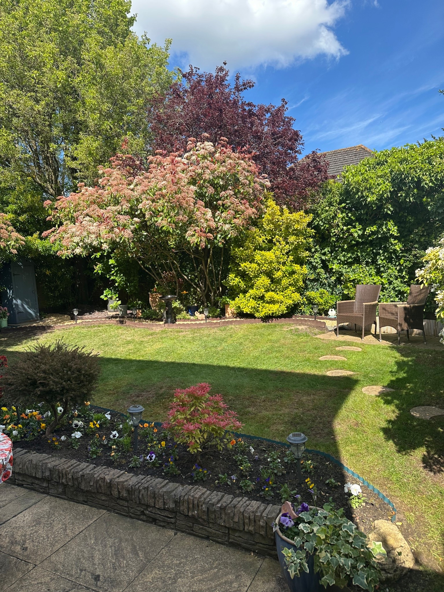 Garden chairs / garden shed / garden solar lights 

.. enjoying the garden guys .. Soring has sprung !! 

#garden #outdoorliving 

#LTKtravel #LTKhome #LTKspring