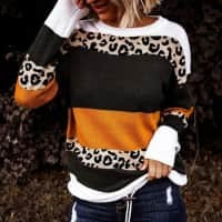 Leopard Colorblock Sweater | Jane