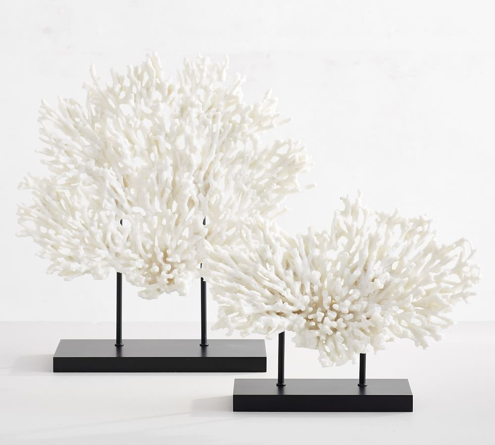 Faux Coral on Black Stand | Pottery Barn (US)