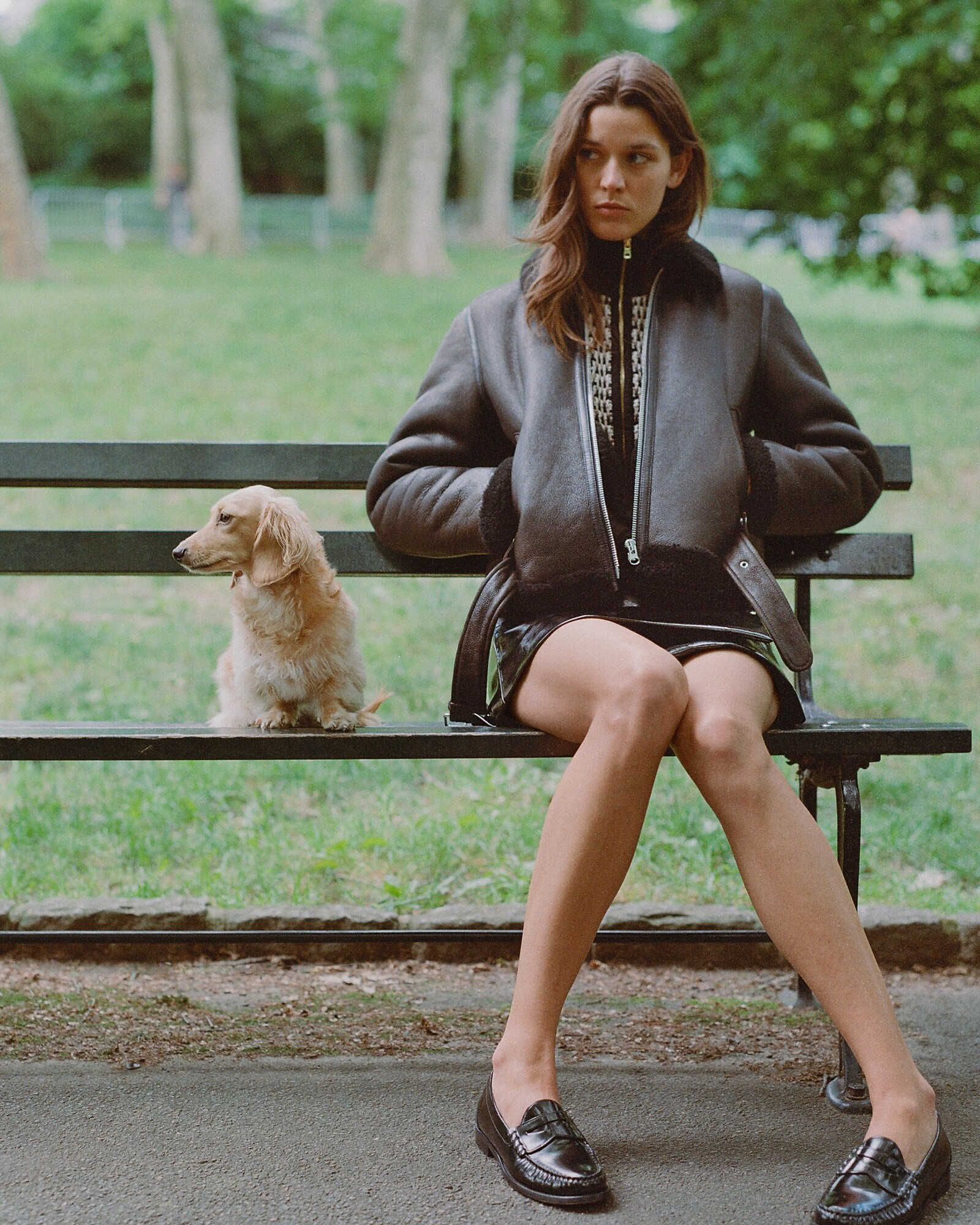 Collection shearling leather jacket | J. Crew US