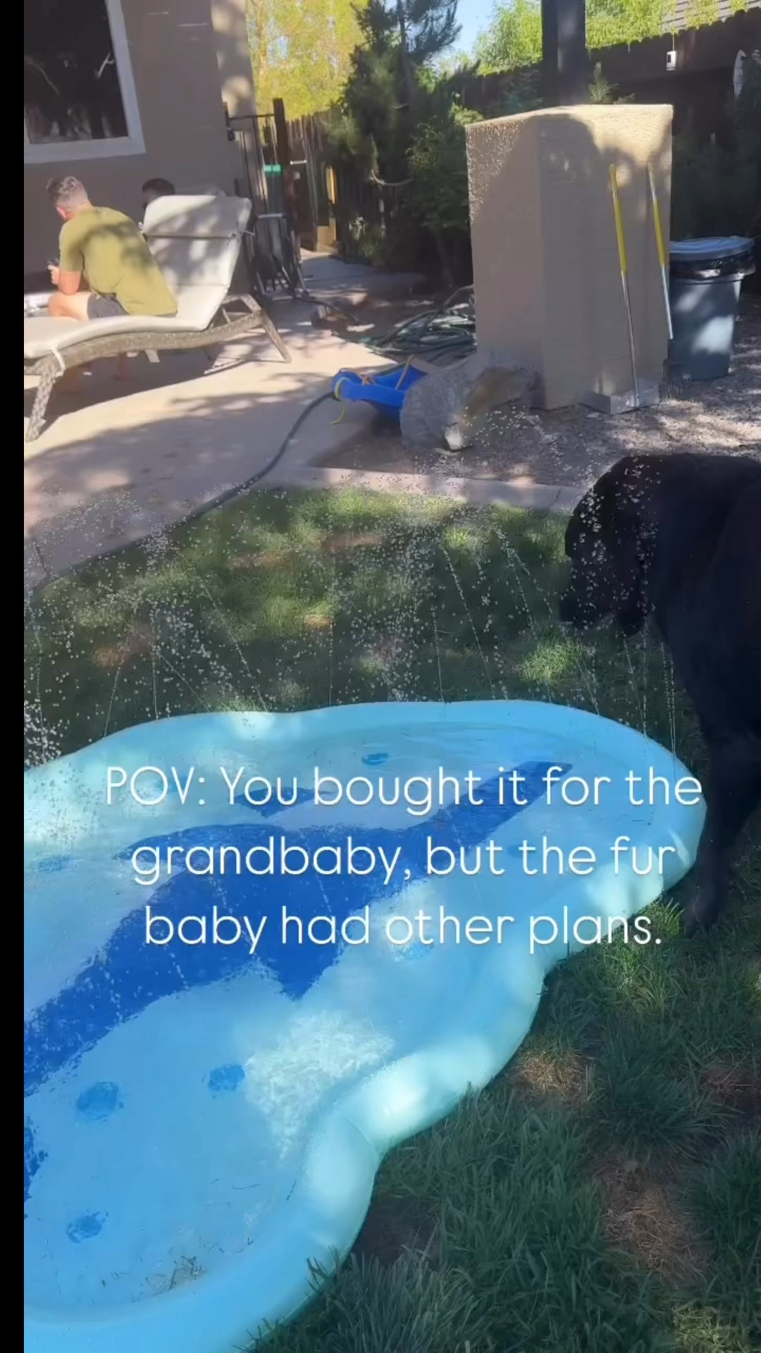 I grabbed this splash pad for my granddaughter… but guess who ended up loving it the most? 😂 It’s the perfect backyard water toy for both kids and dogs. Super easy to set up—just plug it into the hose and let the fun begin!

Linked it on my LTK for all the moms, grandmas, and dog moms who want to keep their little ones (and fur babies) cool and entertained this summer. 💛

#LTKSummer #LTKFinds #LTKKids #LTKDogMom #SummerMustHaves #SplashPadFun #BackyardPlay #ToddlerToys #DogApproved #AmazonFinds #SummerWithKids #SummerWithDogs #LTKUnder50 #OutdoorFun #SweetLabsOfMine