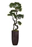 Vintage Home Green Emerald Artificial Faux Bonsai Tree with Fiberstone Planter for Home Decor, 60",  | Amazon (US)