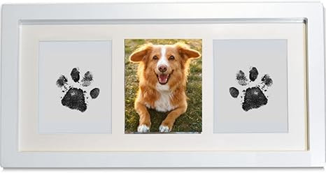 BabySquad Pet Memorial Gift, Paw Print Kit Keepsake, 13.5 x 7 INCHES (Large Size), No-Mess Pet In... | Amazon (US)