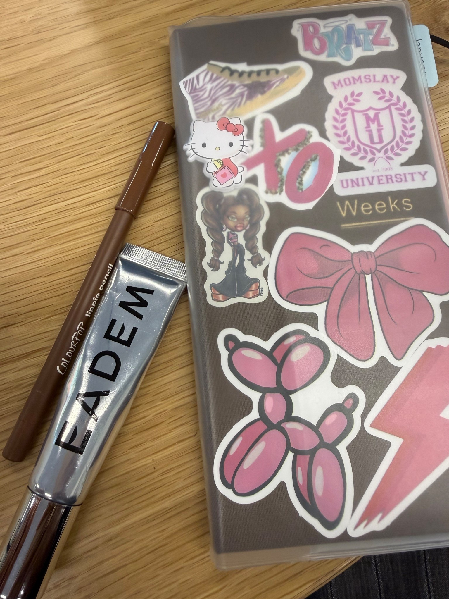 Daily neccesities 💄📖 

#LTKdayinmylife #LTKgrwm