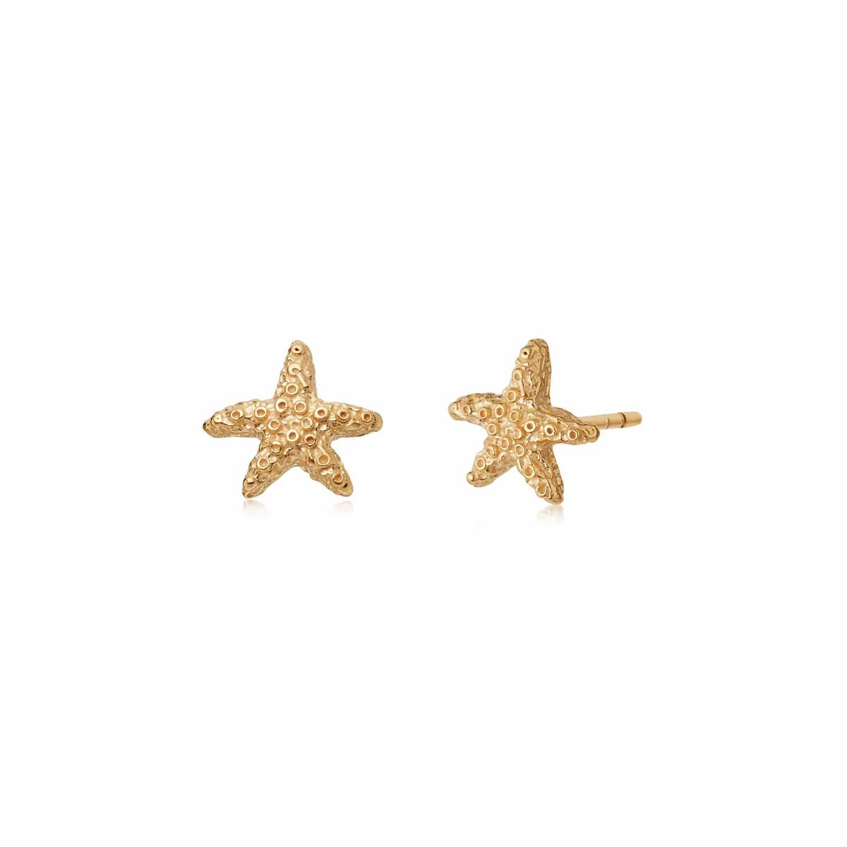 Starfish Stud Earrings 18ct Gold Plate | Daisy London Jewellery