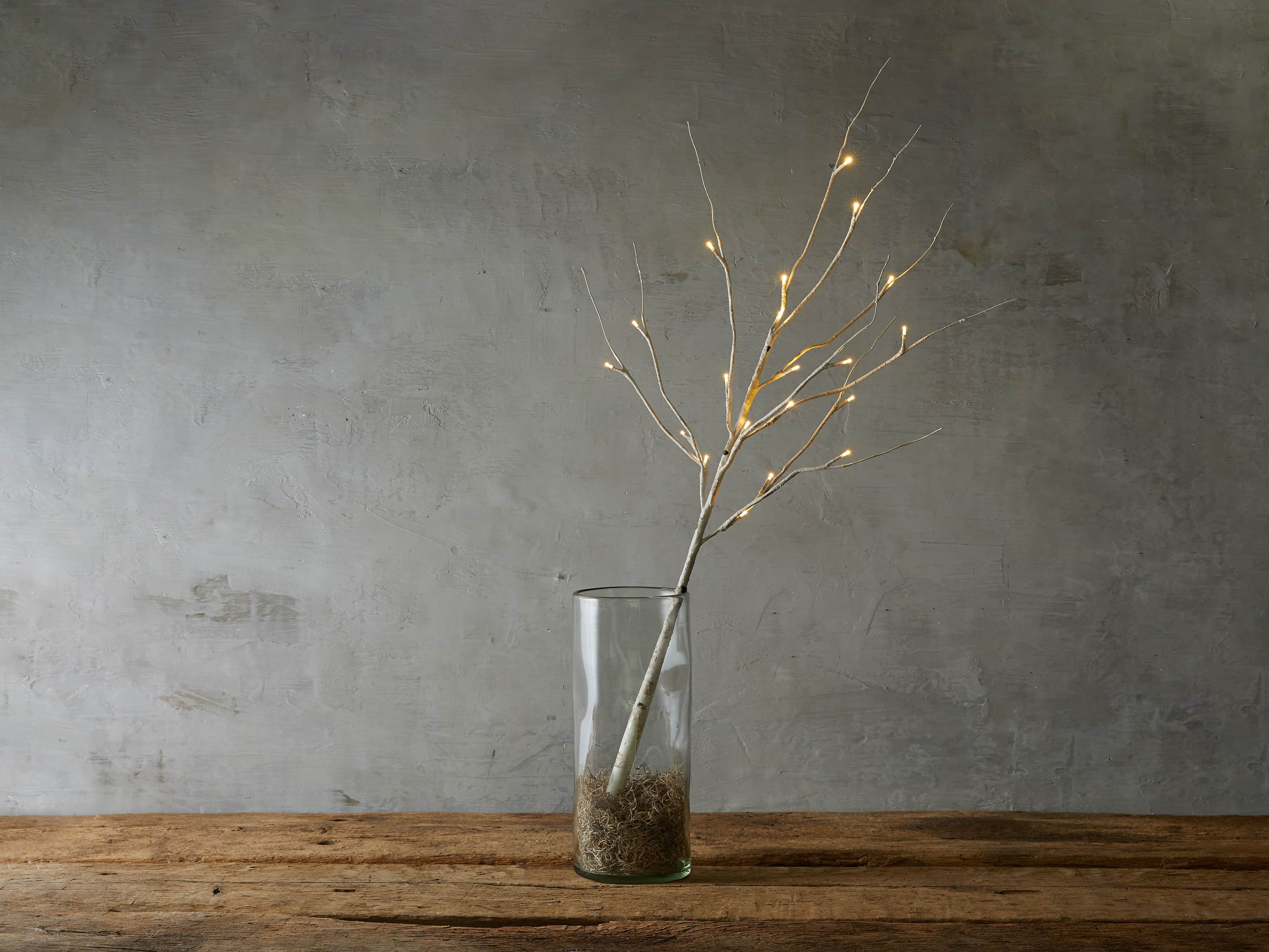 Aurora Lighted Birch Branch | Arhaus