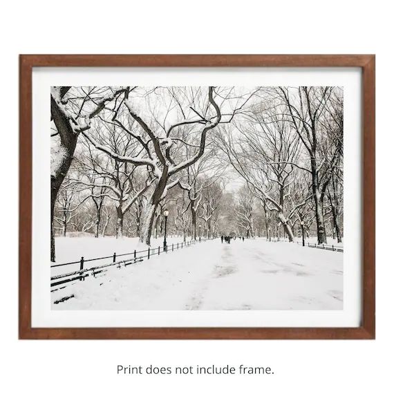 Central Park Mall in the Snow Photography Print New York City | Etsy (US)