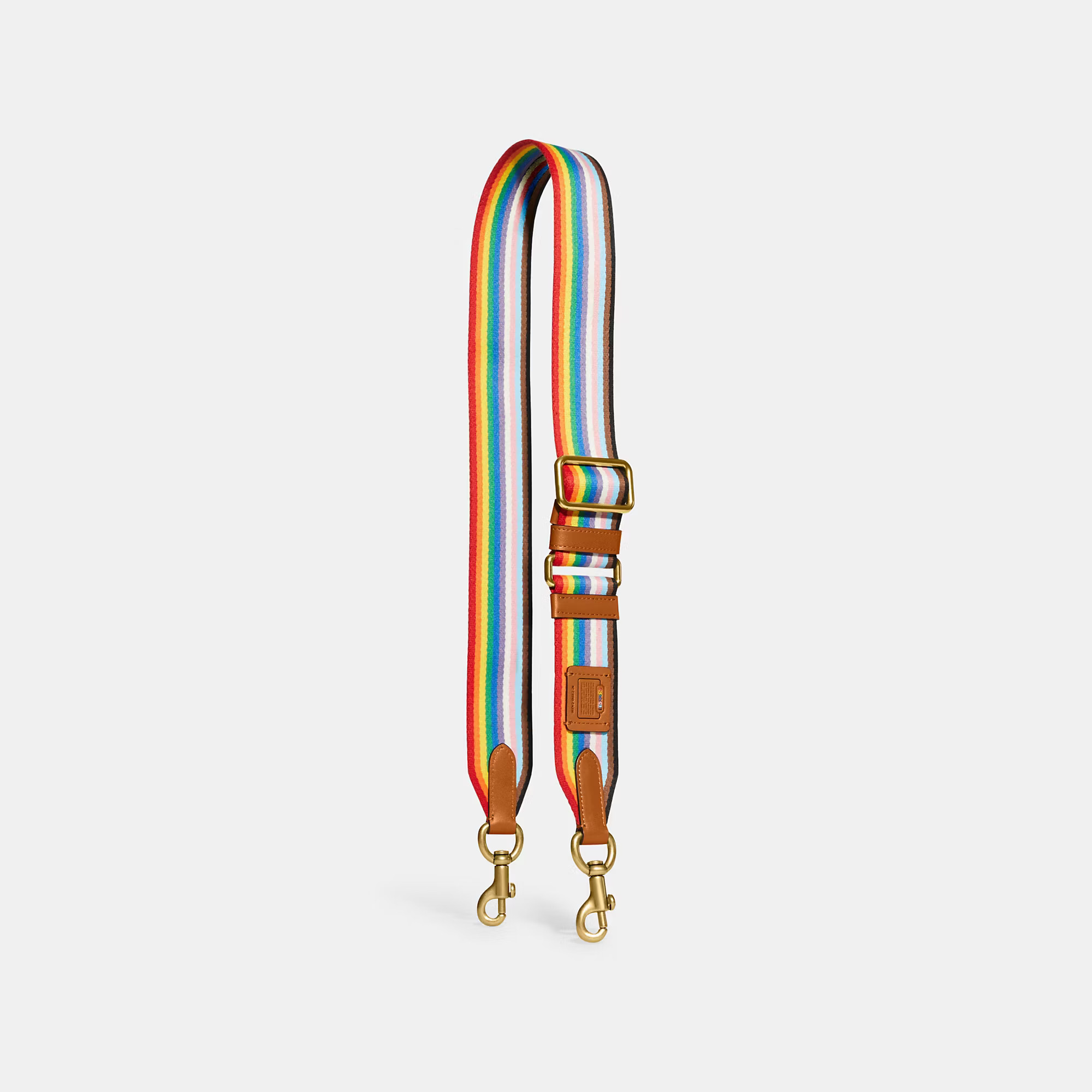 Rainbow Webbing Strap | Coach (US)