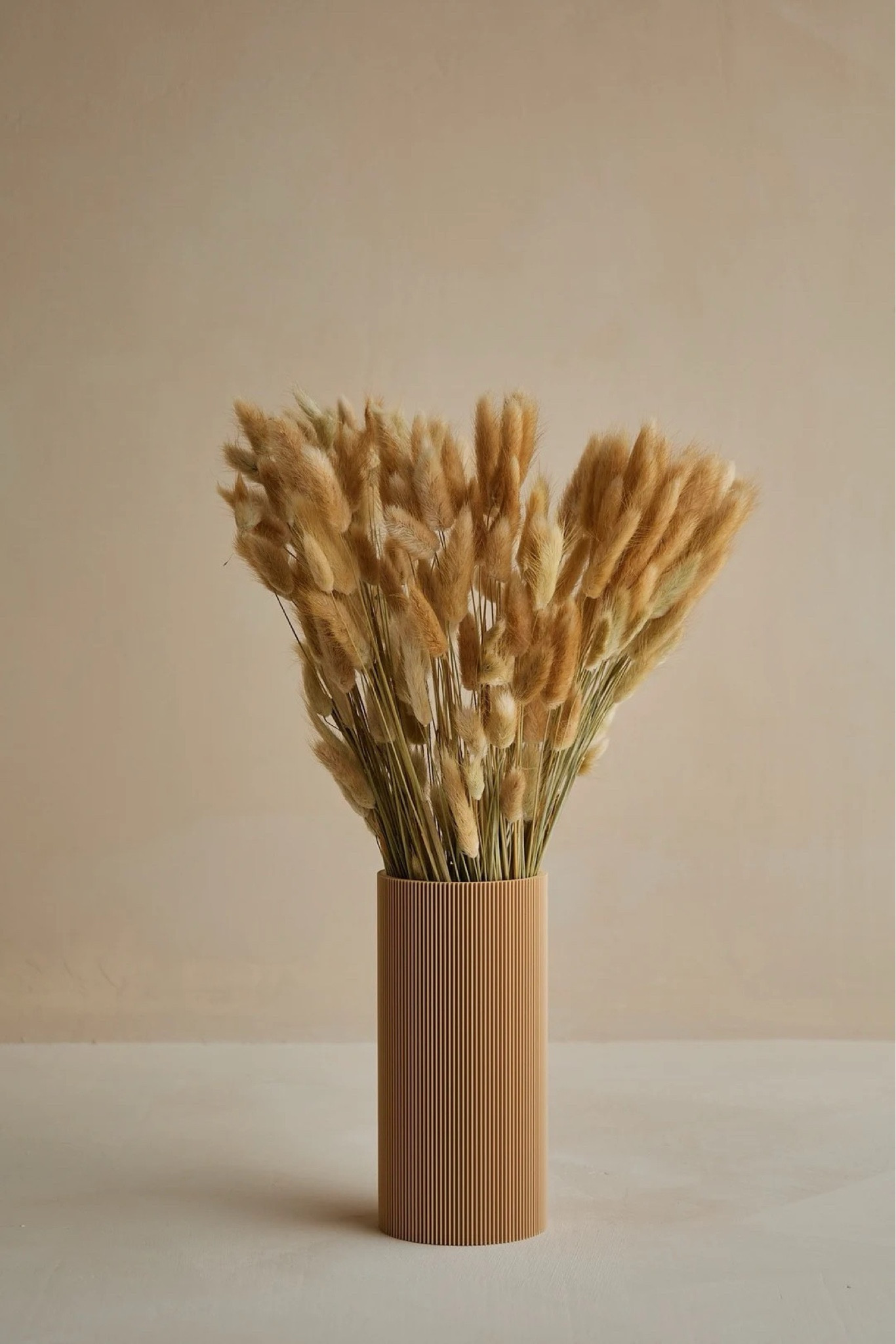 Make a statement with this large bunny tails bunch, featuring up to 180 fluffy stems for a full, eye-catching arrangement. Perfect for styling in a statement vase or breaking into smaller displays throughout your home, it adds soft texture and warmth to any space. Available in a range of beautiful tones, this long-lasting bundle brings effortless, cozy style without any maintenance. #ltkhome #ltkdecor #driedflowers #bunnytails #bohodecor #homestyling #neutraldecor #cozyhome #statementdecor

#LTKWedding #LTKHome #LTKSeasonal