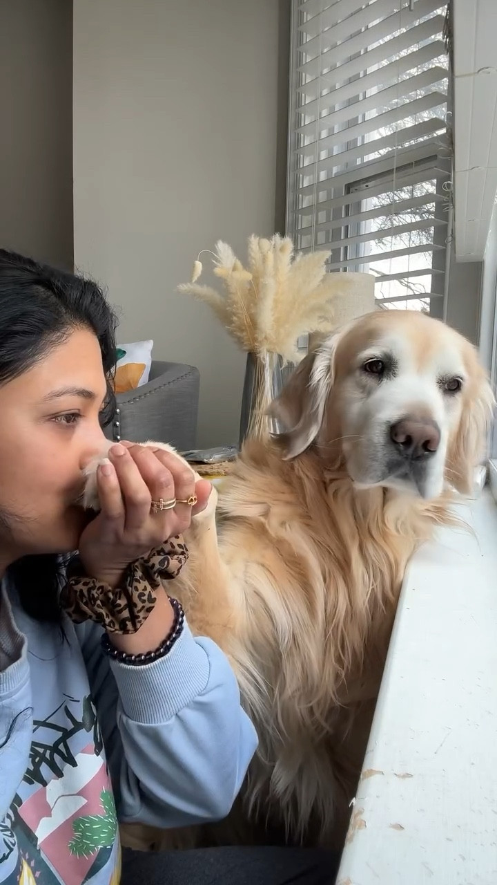 Feeling Low for no reason 🤷🏼‍♀️ Dog Mom Life Mini Vlog with my fur baby Champ 
Follow IG @justchillwithpam
Subscribe YT @pamdsouza

#minivlog #dogmom #dogsofinsta #goldenretrieverworld #pamdsouza #feelinglow #highlow #lifeisgood #truthordare

#LTKFamily #LTKWatchNow #LTKStyleTip