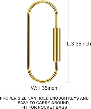 WILLBOND 4 Pcs 3.35in Brass Key Ring Screw Lock Keychain Clip Durable Simple Large Brass Carabine... | Amazon (US)