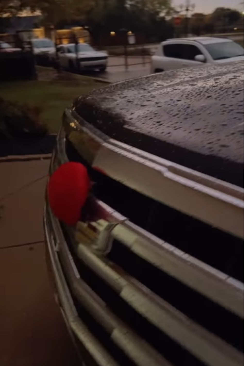 Give your car some Christmas cheer for under $12!!!

#LTKHoliday #LTKGiftGuide #LTKCyberweek