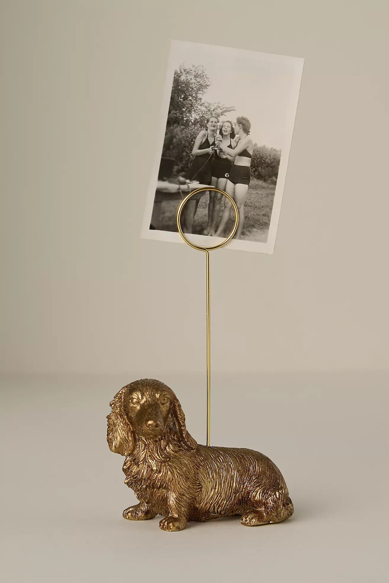 The Animal Icon Photo Holder: Dog Edition | Anthropologie (US)