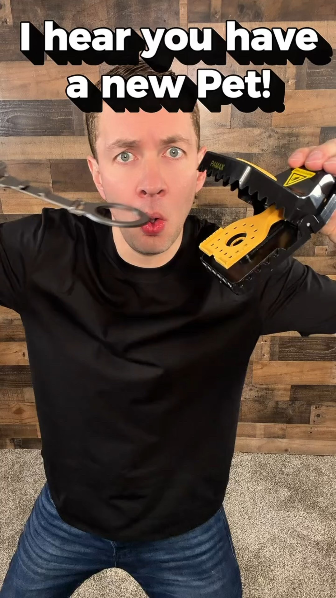 Tired of dealing with mice in your garage or kitchen? 🐭

These heavy-duty snap traps are designed for quick and effective control, indoor or outdoor. Easy to set, reusable, and no mess handling.

A simple solution that actually works.