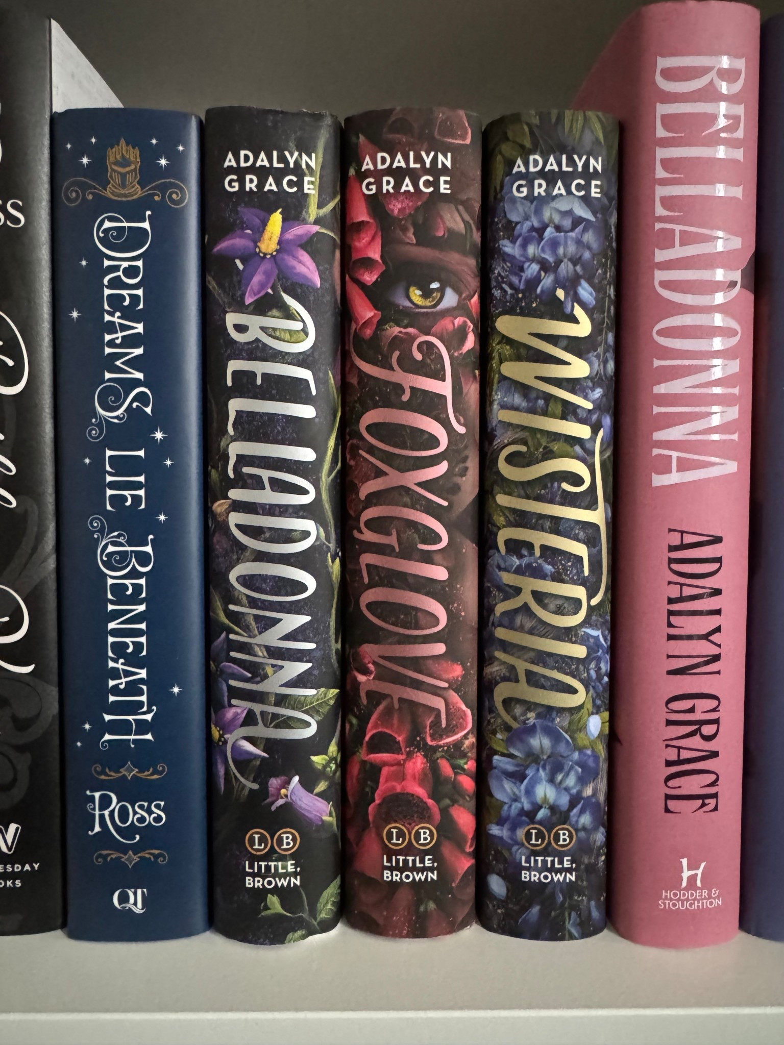 Looking for a completed YA (upper YA to New Adult) fantasy series for the book lover in your life? Belladonna by Adalyn Grace is one of my absolute FAVORITES. I have 3 complete edition copies on my shelves. The first run of the standard US copies are absolutely beautiful and any reader would love! 

#LTKKids #LTKGiftGuide #LTKFindsUnder50
