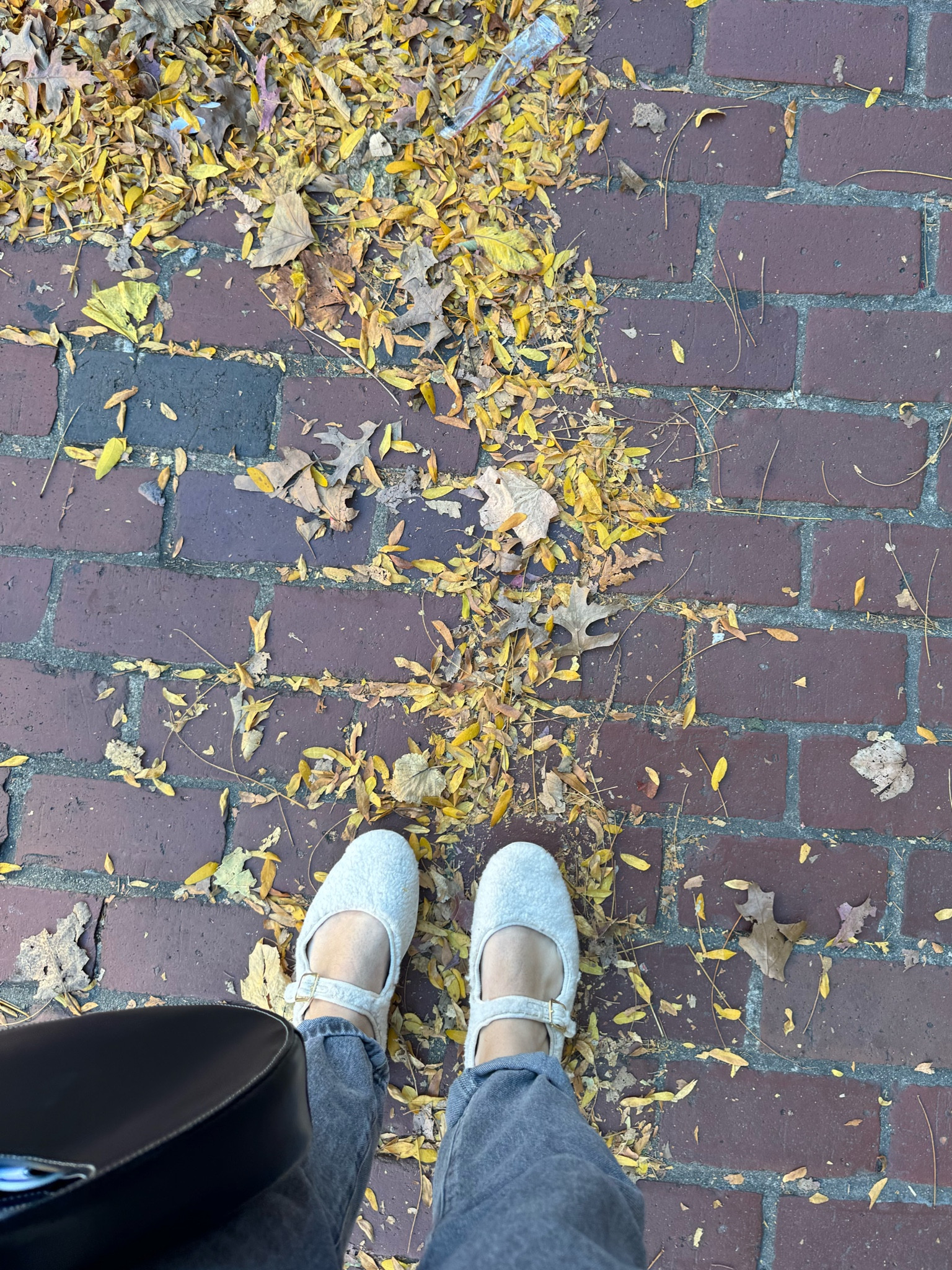 Fuzzy ballet flats 🥹

#LTKFindsUnder50 #LTKSaleAlert #LTKShoeCrush