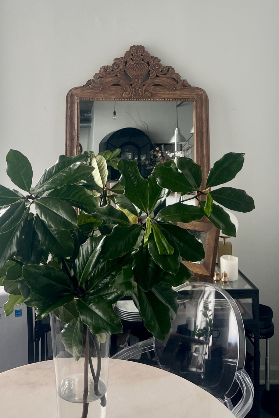 My little apartment is so cozy. I’ll be painting this wall later this week and hanging a new piece of artwork that fills the height of my walls! Love plants and organic interiors design looks! Loft interior / muted interior / natural interior / natural home

#LTKhome #LTKstyletip #LTKU