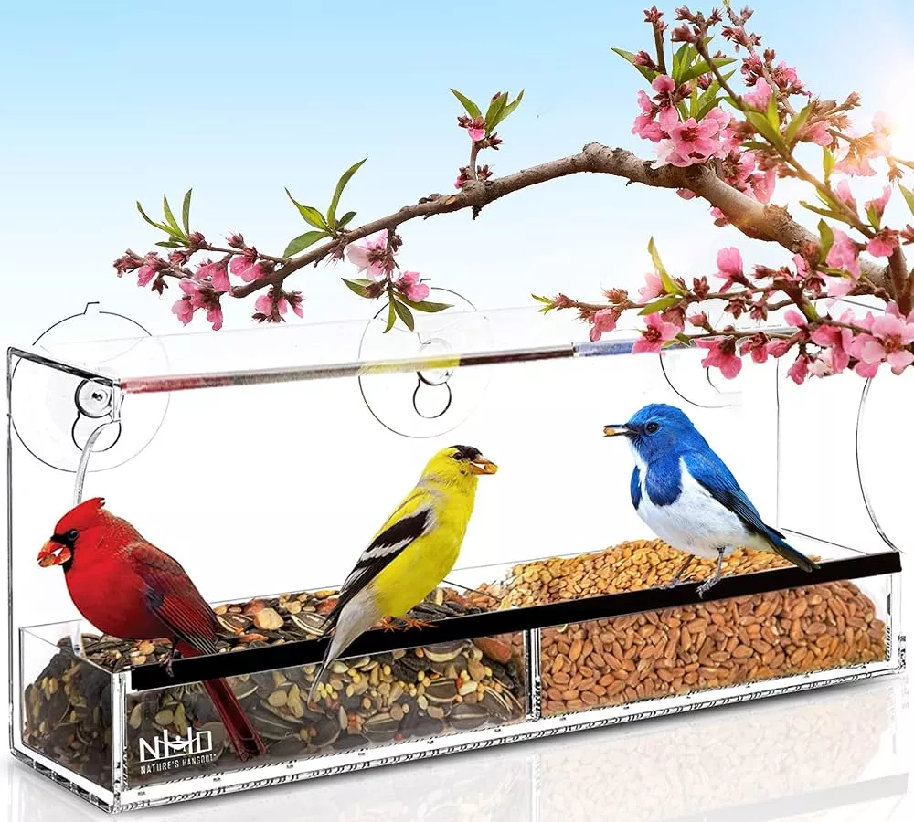 Window Bird Feeders with Strong … curated on LTK