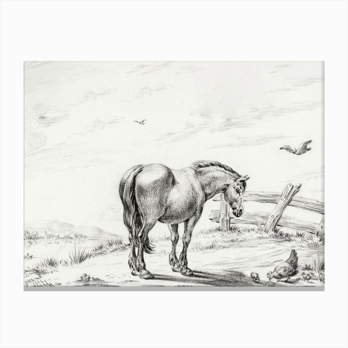 Standing Horse At Chicken With Chicks, Jean Bernard Canvas Print | Fy! (UK)