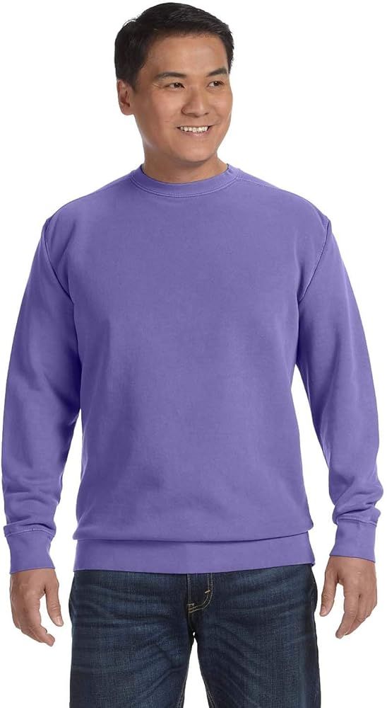 Comfort Colors 9.5 oz. Garment-Dyed Fleece Crew (1566) | Amazon (US)