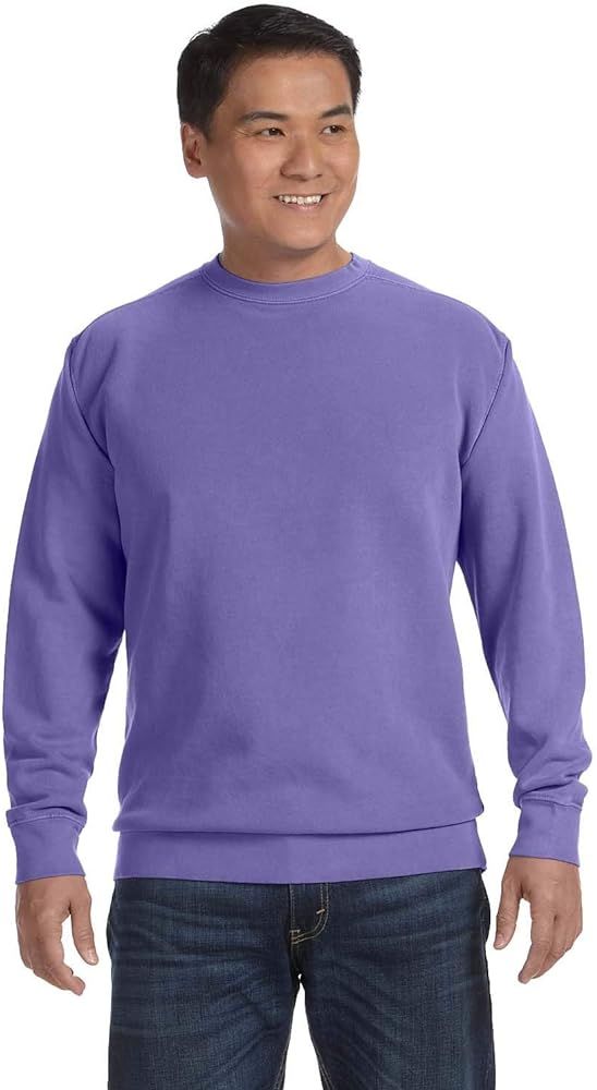Comfort Colors 9.5 oz. Garment-Dyed Fleece Crew (1566) | Amazon (US)