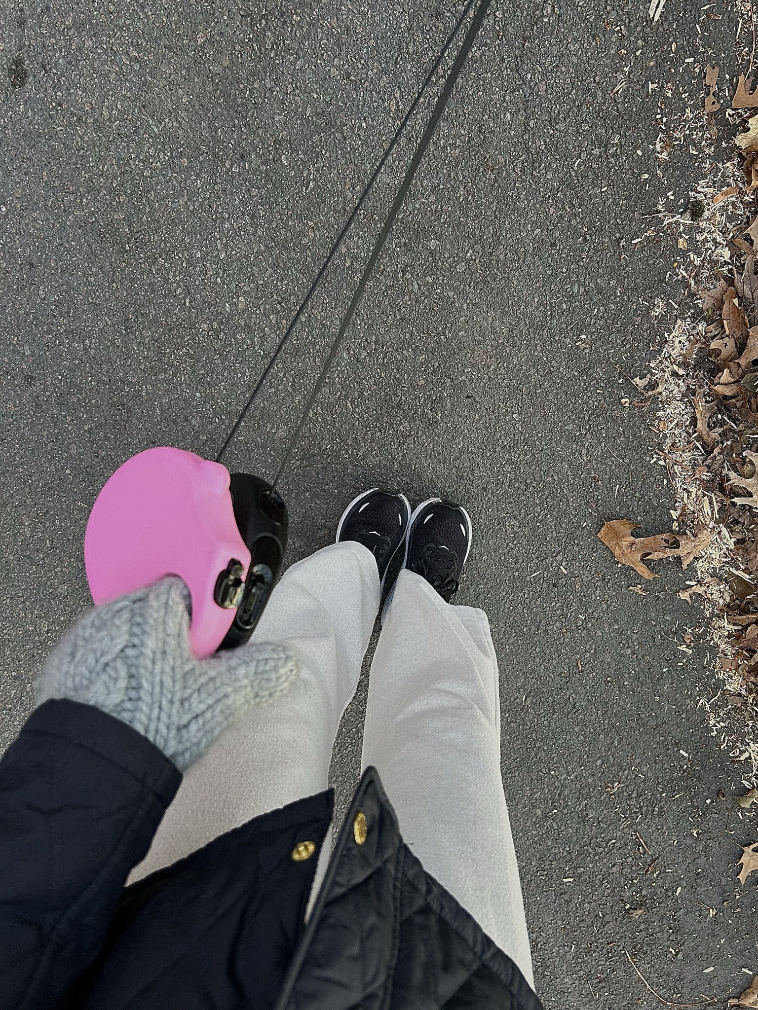 Dog mom essentials 🦮