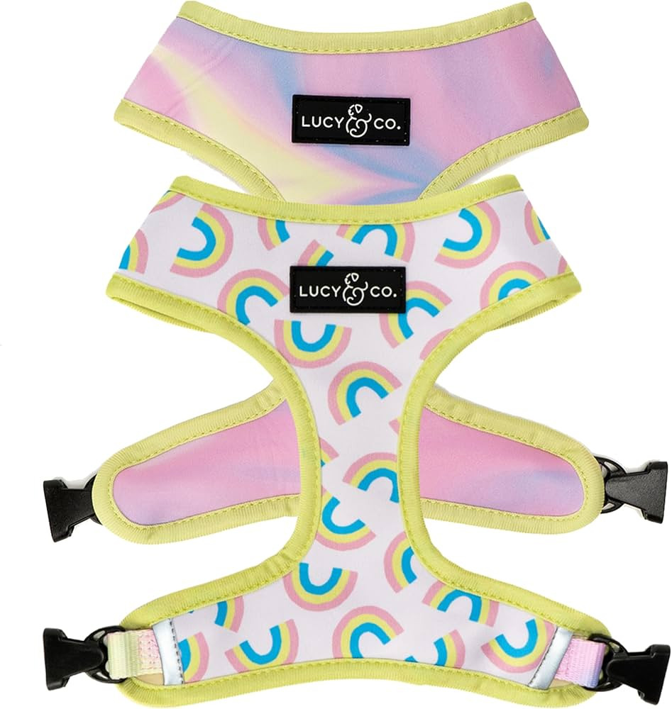 Lucy & Co. Dog Collar - Durable Lightweight Designer Collar for Pets - Adjustable Metal Safety Bu... | Amazon (US)