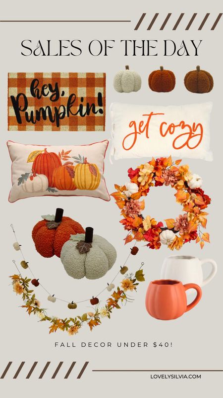 Fall decor under $40!

fall decor, fall wreath, fall garland, fall home decor, fall doormat, fall pillows, fall mugs, pumpkins, teddy pumpkins, fall home

#LTKsalealert #LTKunder50 #LTKhome