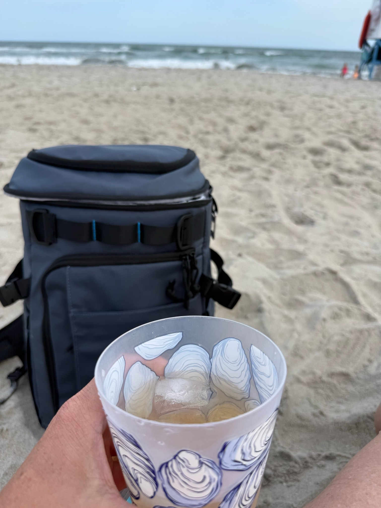Best backpack cooler
